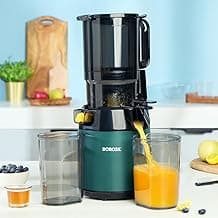 Borosil Vita Rich Cold Press Juicer with Reverse Function